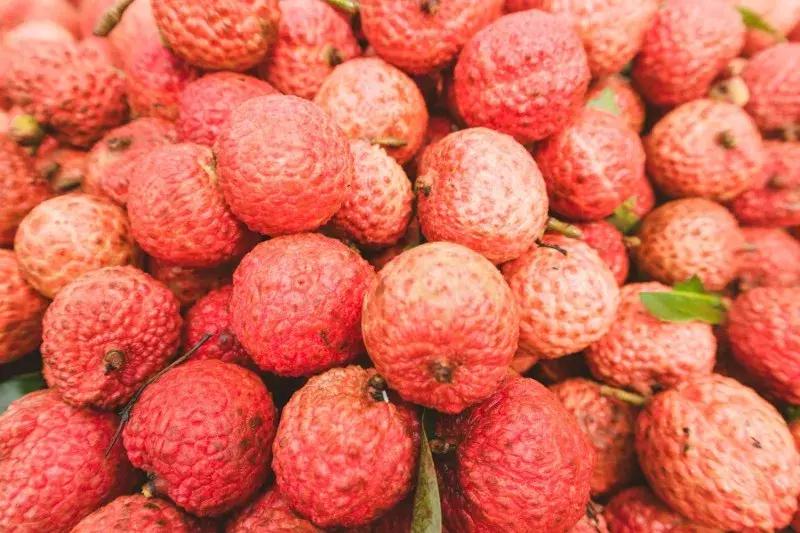 水蜜桃8块一斤,西瓜桃子8元