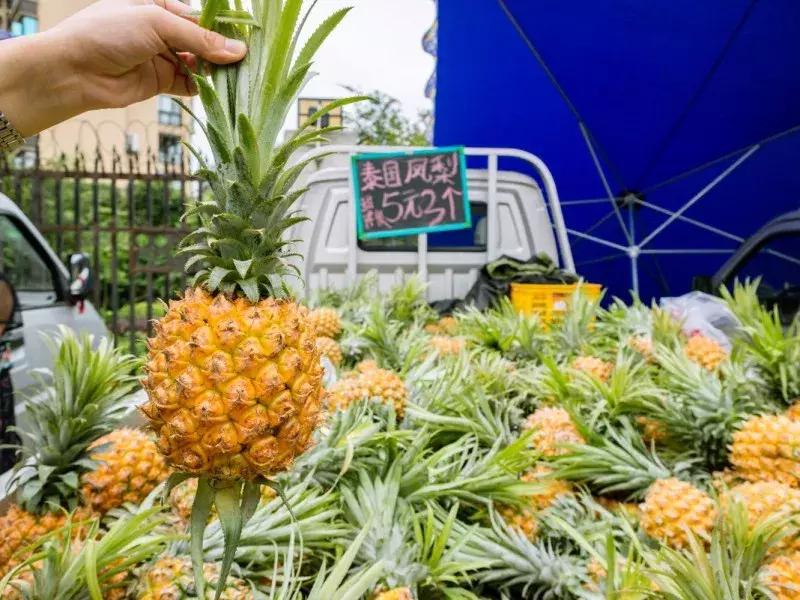 水蜜桃8块一斤,西瓜桃子8元