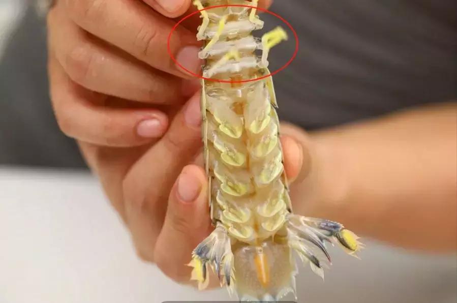 椒盐皮皮虾吮指美食,椒盐皮皮虾的做法吃了还想吃