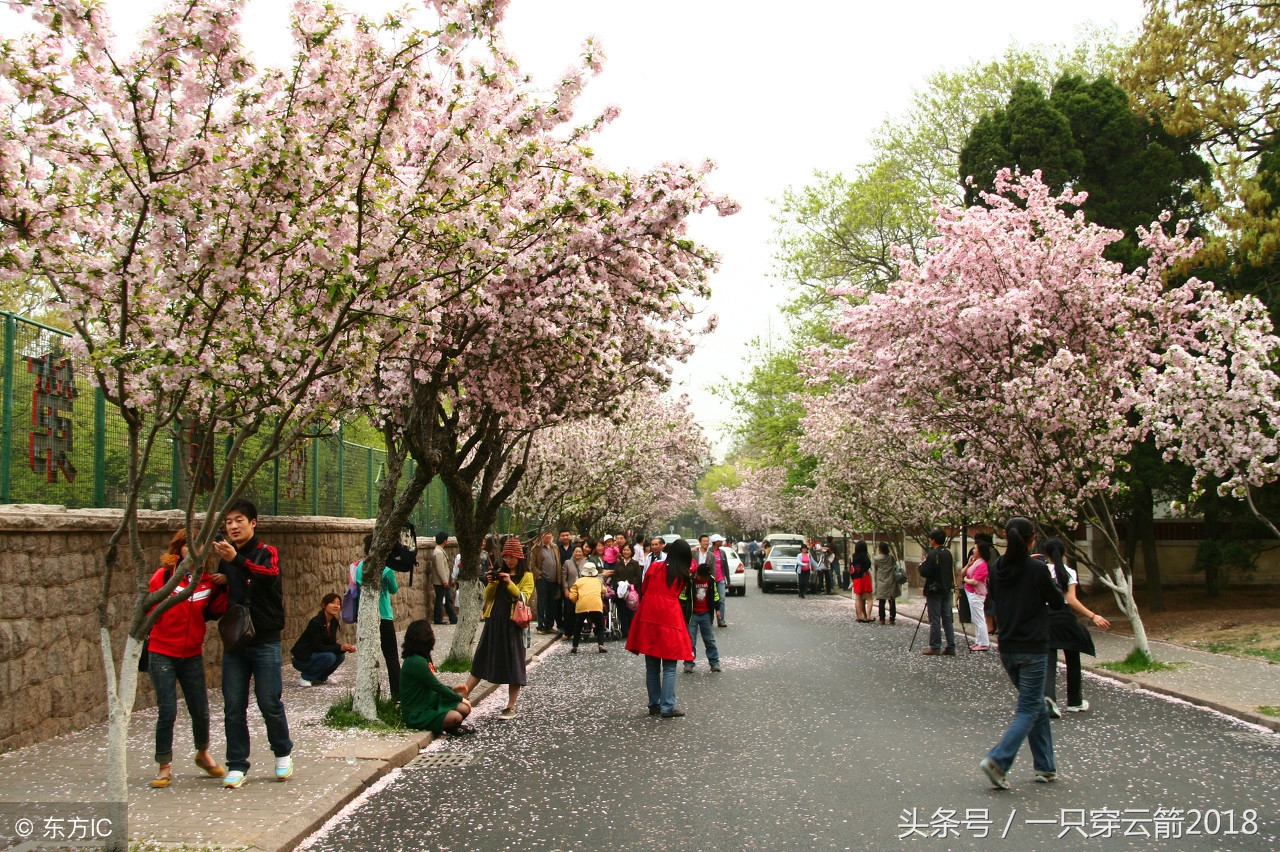 青岛这几年房价没有降的楼盘,青岛楼市李沧房价