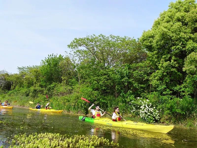 旅行水上运动皮划艇,冲浪水上运动皮划艇图片
