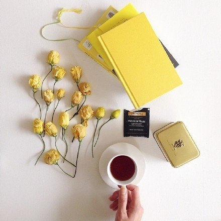 一句有关诚信的名言名句,关于诚信的名言警句短句有哪些