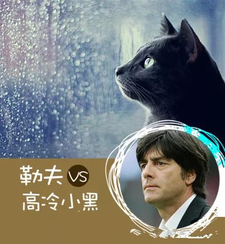 女人看世界杯的乐趣,女人看世界杯看的是颜值