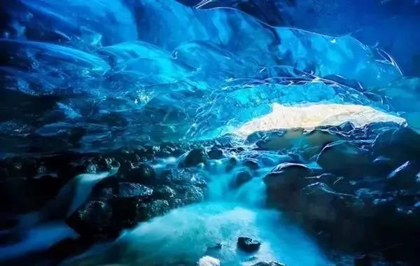 冰岛足球队18年世界杯,世界杯第一网红