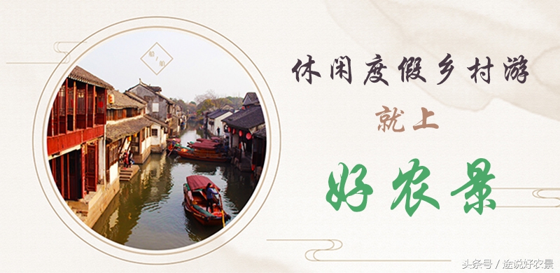 寨春农场青蛙乐园门票,荷塘水库青蛙乐园