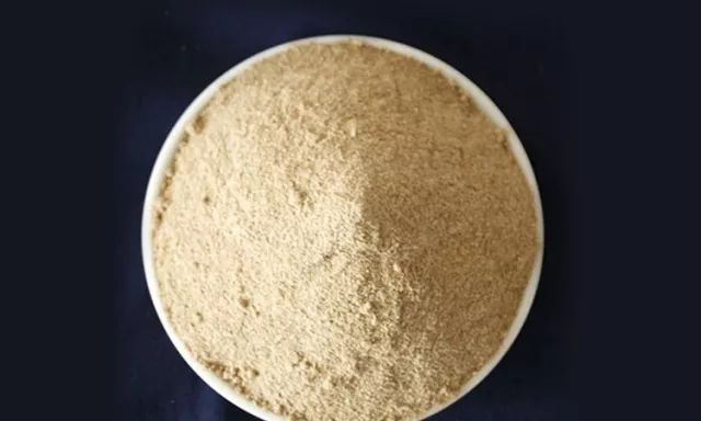 硝化细菌可以养鱼缸吗,开缸不加硝化细菌照样能养鱼