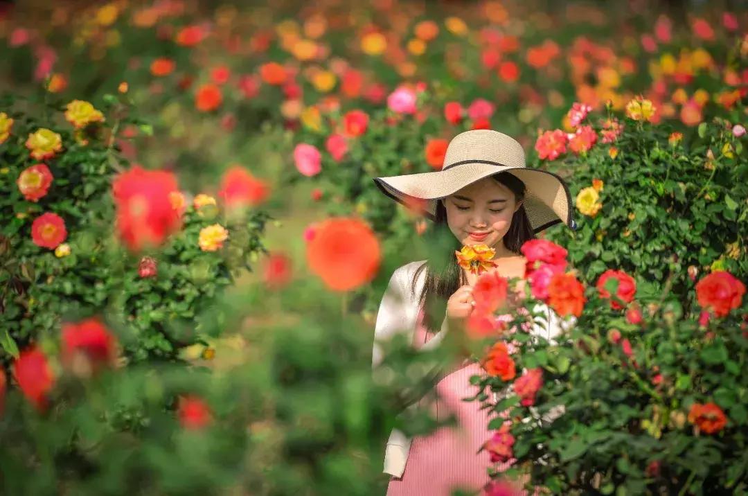 台儿庄古城最新免票政策,台儿庄古城对临沂人免门票吗