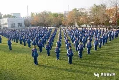 乌鲁木齐实力小学排名,乌鲁木齐最好的小学推荐