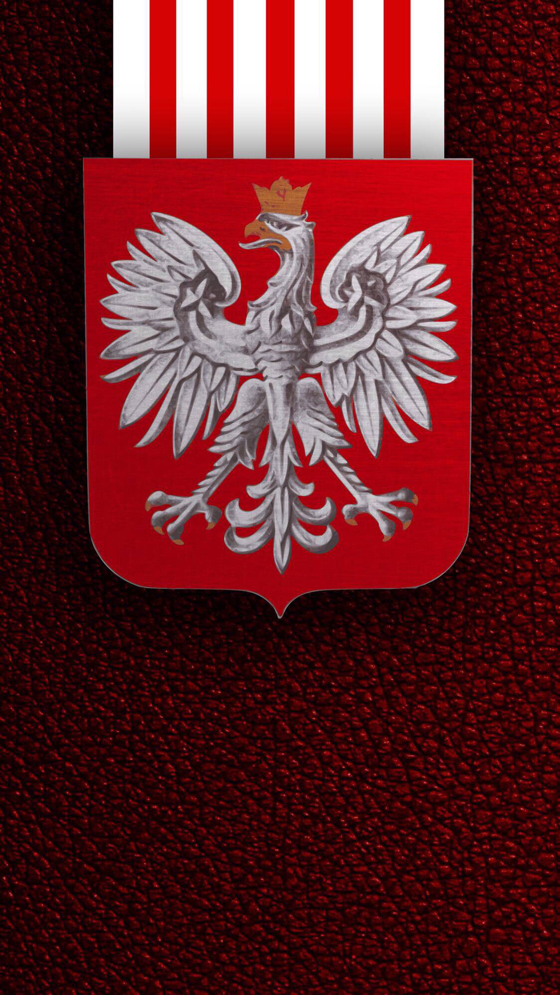 梅西c罗合照壁纸背影,梅西c罗动漫图片壁纸