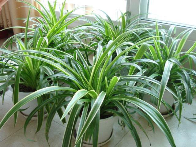 新房装修后如何检测污染,新房装修污染解决方案