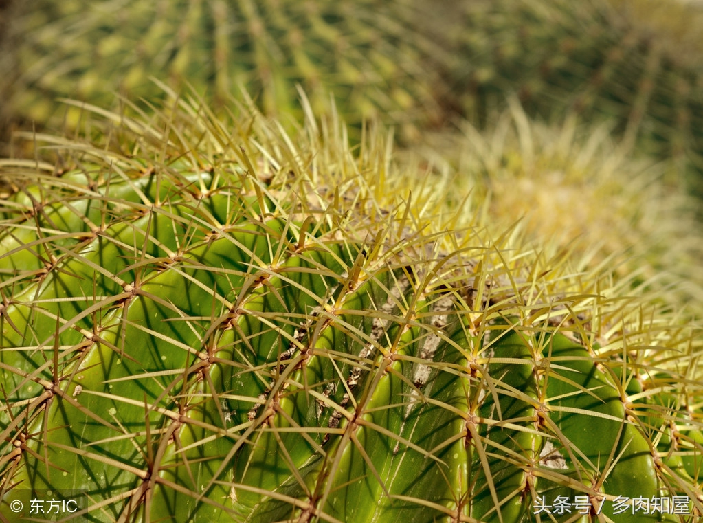 世界杯有看头的比赛,世界杯精彩足球
