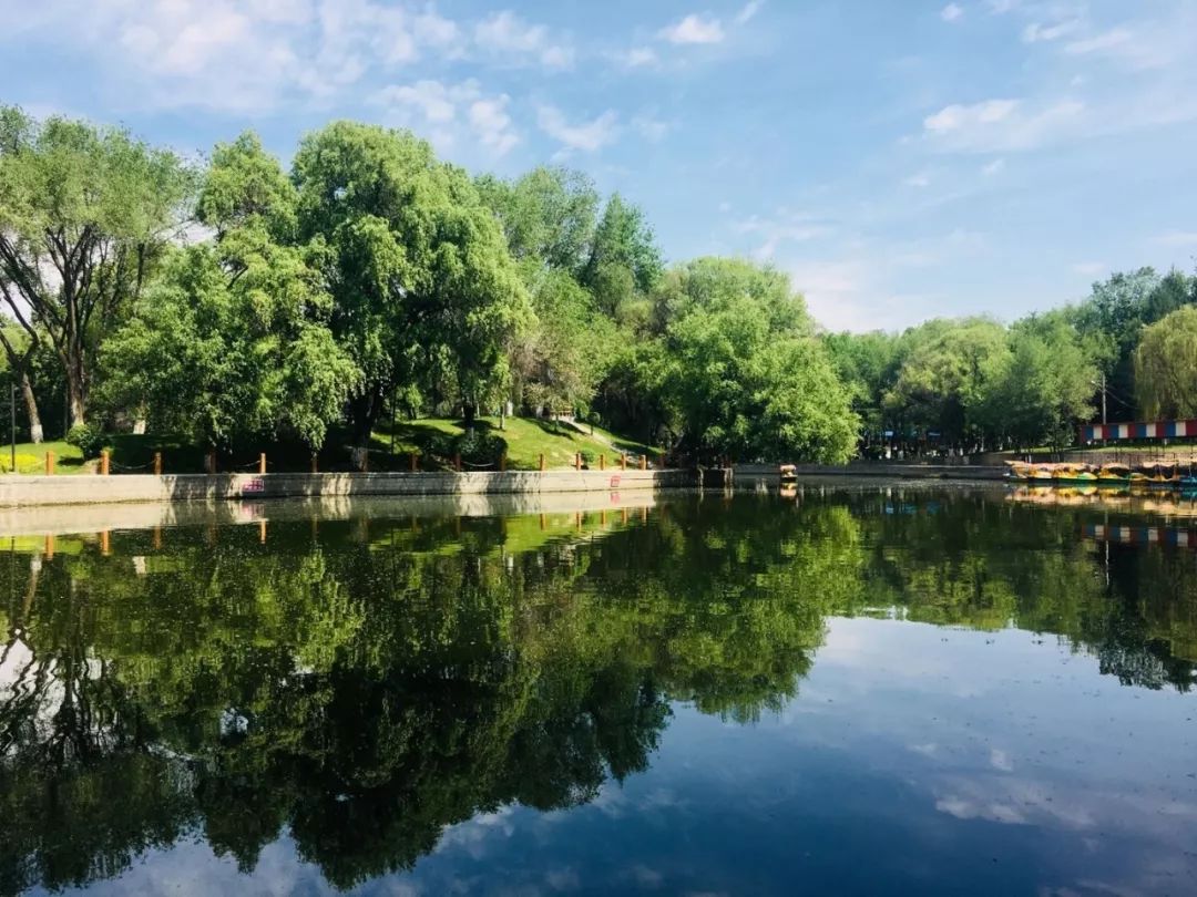 石河子最新未来发展规划,石河子明年整体规划