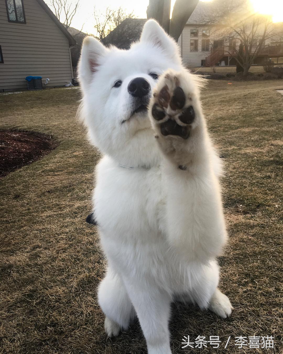 明明可以靠颜值吃饭却偏偏靠力气,明明可以靠颜值吃饭偏偏靠嘴巴