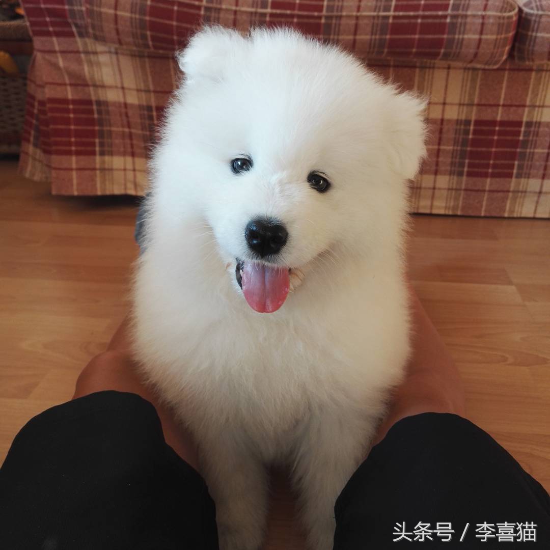 明明可以靠颜值吃饭却偏偏靠力气,明明可以靠颜值吃饭偏偏靠嘴巴