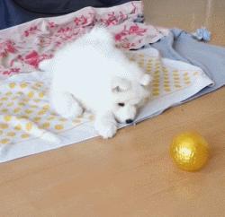 明明可以靠颜值吃饭却偏偏靠力气,明明可以靠颜值吃饭偏偏靠嘴巴