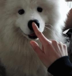 明明可以靠颜值吃饭却偏偏靠力气,明明可以靠颜值吃饭偏偏靠嘴巴