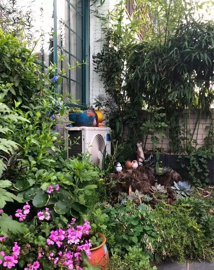 香香的花园自拍杆,香香的花围墙推荐