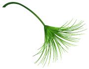 学费有补助，毕业就是事业编！衢州这些定向培养计划了解一下……