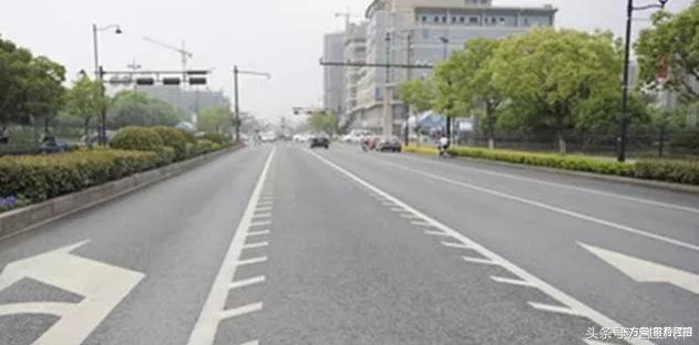 交规冷知识图片大全,马路小白杀手图片