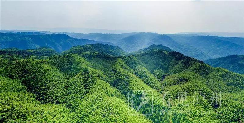 泸州最美乡镇,泸州是国家优秀的旅游城市吗