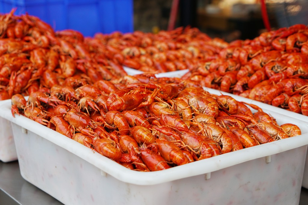 小龙虾征战世界杯,小龙虾与世界杯共狂欢