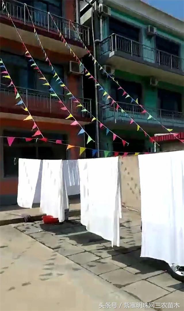 南戴河*哥涛**农家院（成杰宾馆）云烟天外黄金缕，渔火滩头绿酒家！