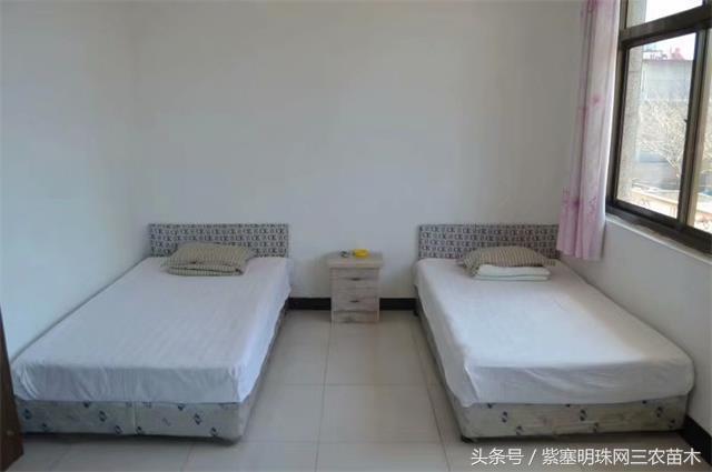 南戴河*哥涛**农家院（成杰宾馆）云烟天外黄金缕，渔火滩头绿酒家！