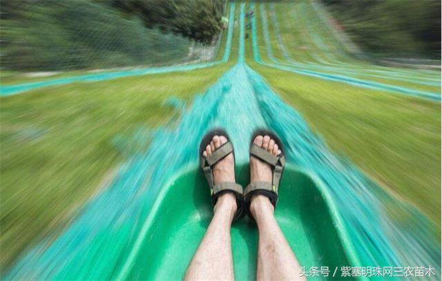 南戴河*哥涛**农家院（成杰宾馆）云烟天外黄金缕，渔火滩头绿酒家！