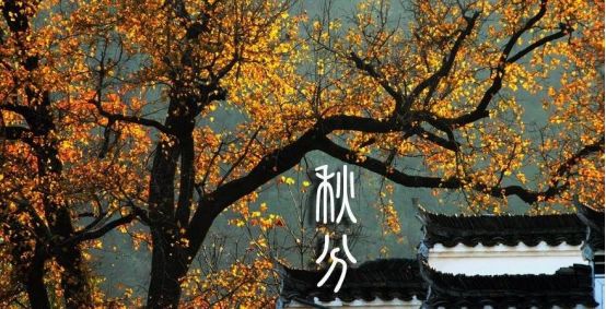 明天又下雨丨互联网卖足*彩球**票，违规丨今年，我们多了一个节日！