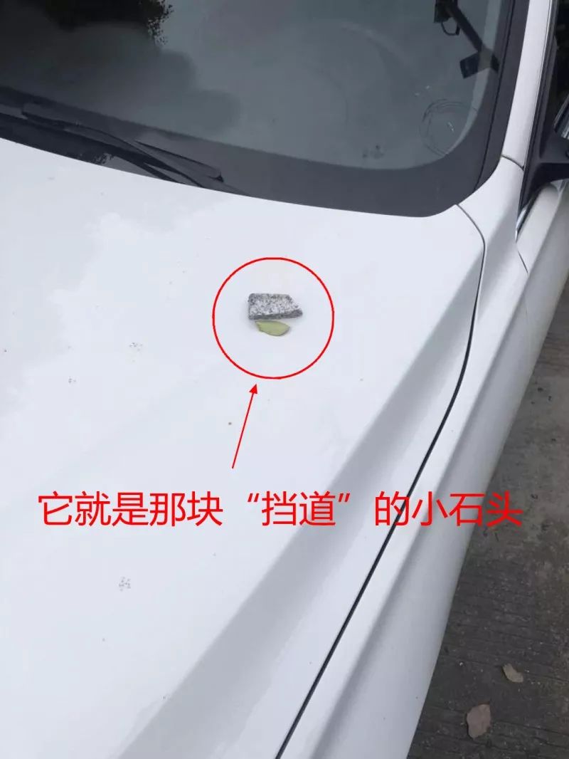 小库里三分总数,小库里独行侠200万