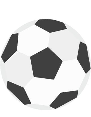 冰岛队的守门员,冰岛守门员