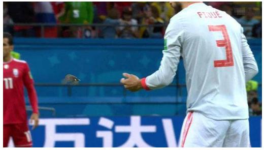 世界杯球场震撼瞬间,世界杯阿根廷暖心瞬间