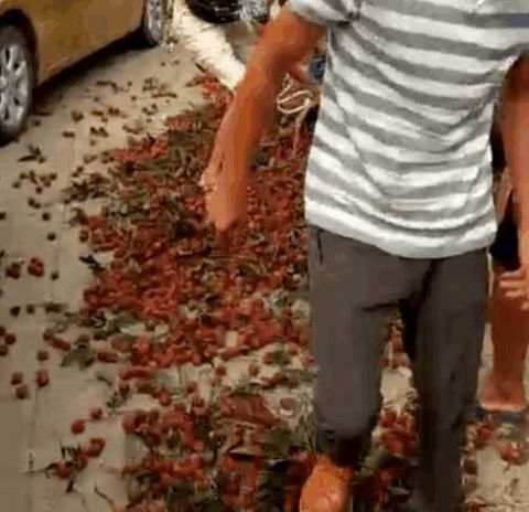 荔枝滞销果农丰收,荔枝滞销事件