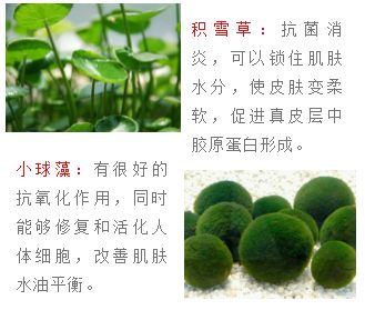 雅诗兰黛密集修护面膜和sk2面膜,雅诗兰黛专柜面膜