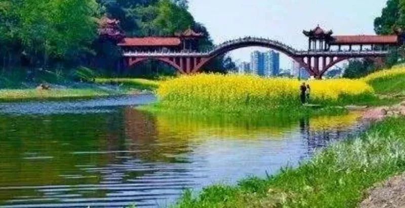 乐山市2019平均工资是多少,乐山市2023年平均工资是多少