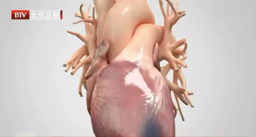 体能训练的运动处方,恢复体能的运动处方是什么