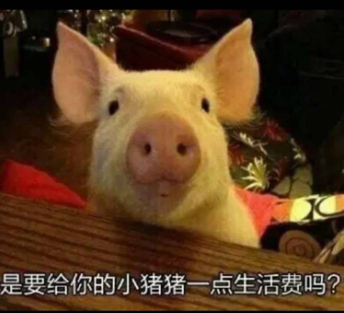 表情包请选择扶贫方式,请选择你的扶贫方式表情包