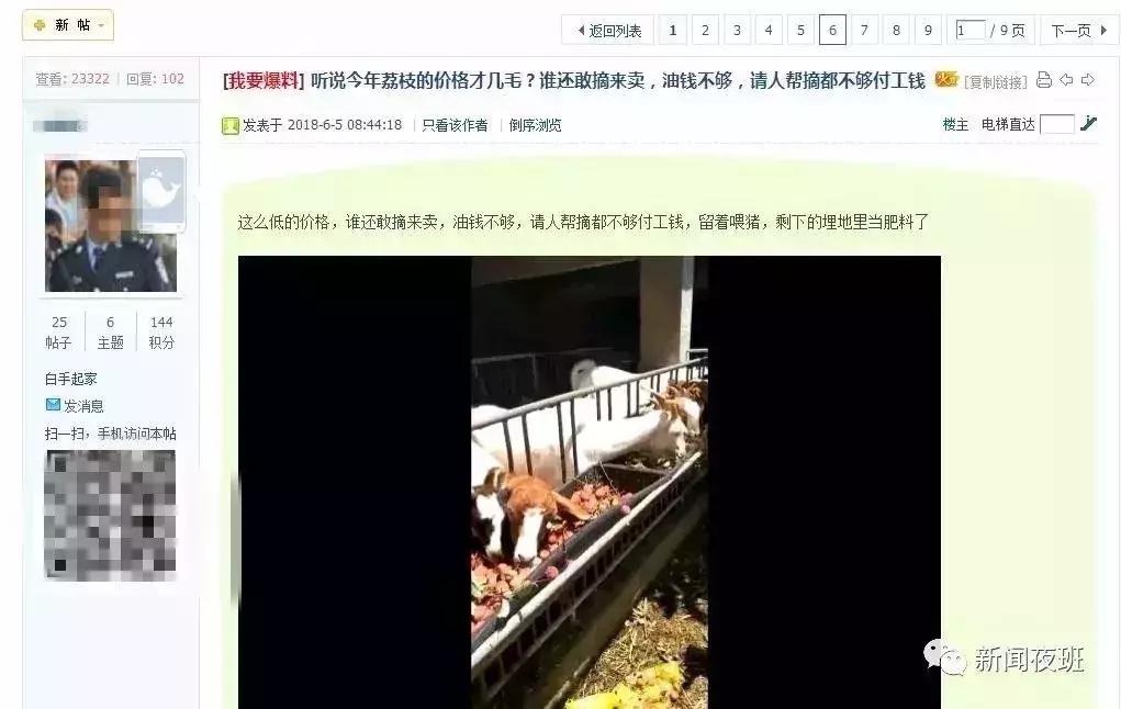 广西荔枝现在情况,广西荔枝最新情况