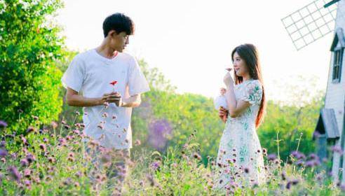 500篇校园经典小说合集,经典校园言情小说推荐