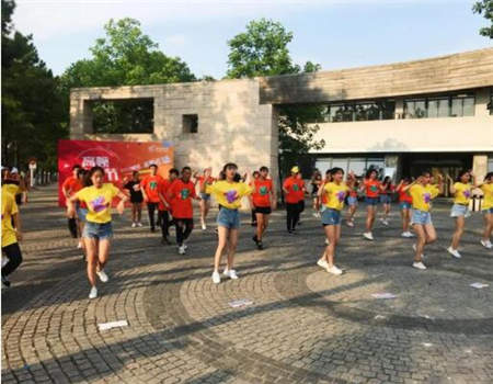 六城联动助力考季高顿财经创意快闪很“燃”