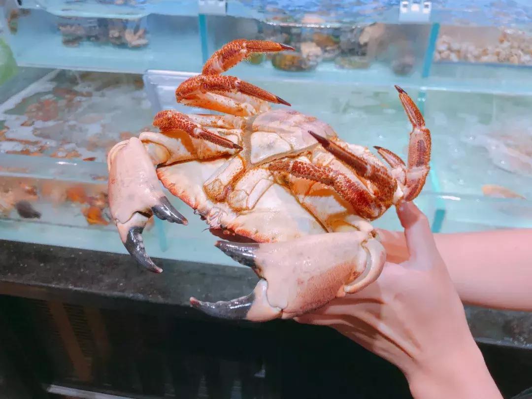 在北京吃只大龙虾只要70块？我被这家超市实力圈粉了！