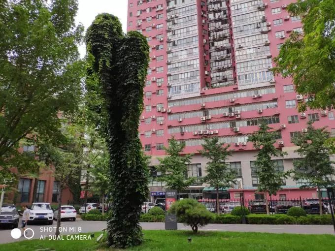 手机测评小米8系列怎么样啊,小米8手机优缺点深度解析