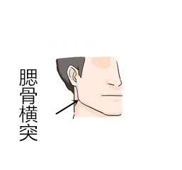 腮骨突出的人的性格,腮骨凸起记仇