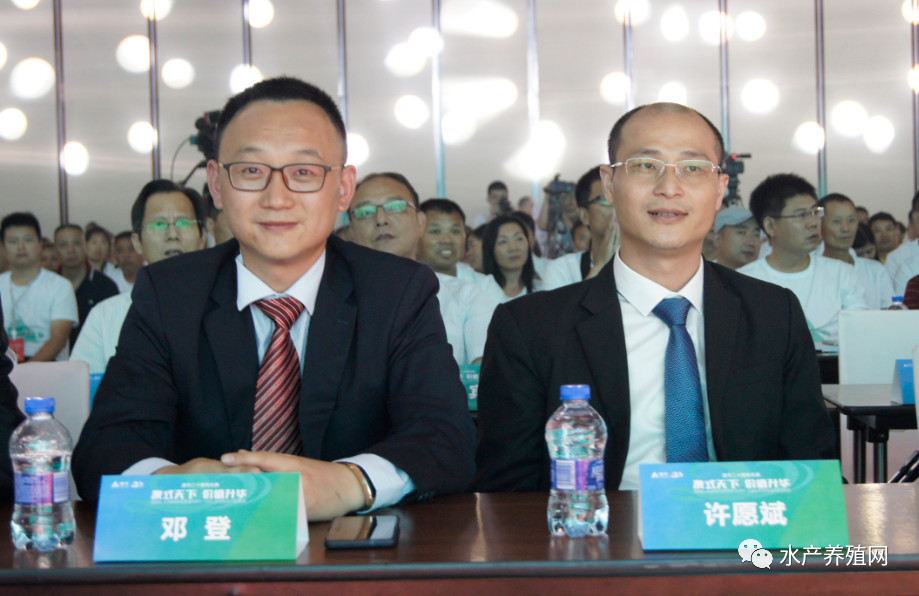 澳华总裁,澳华集团董事长许愿斌