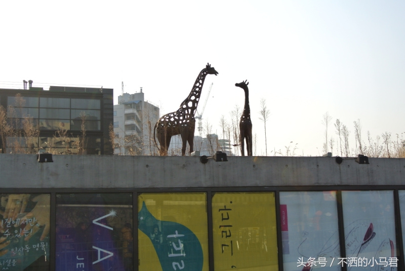 韩国自由行有哪些准备,韩国自由行的实用攻略