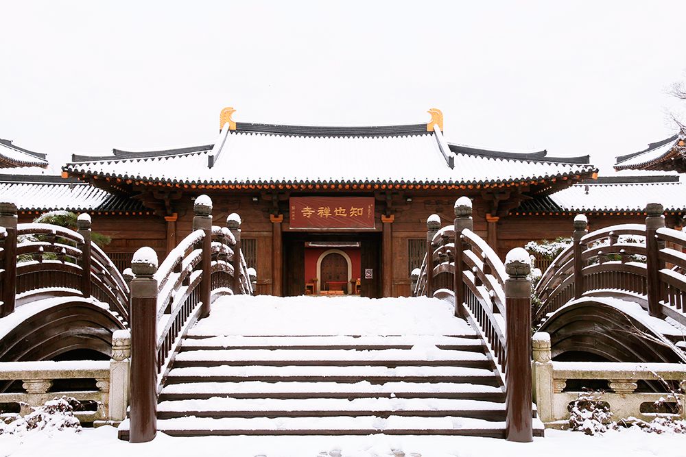 广富林遗址预约门票多少钱,小松探园门票