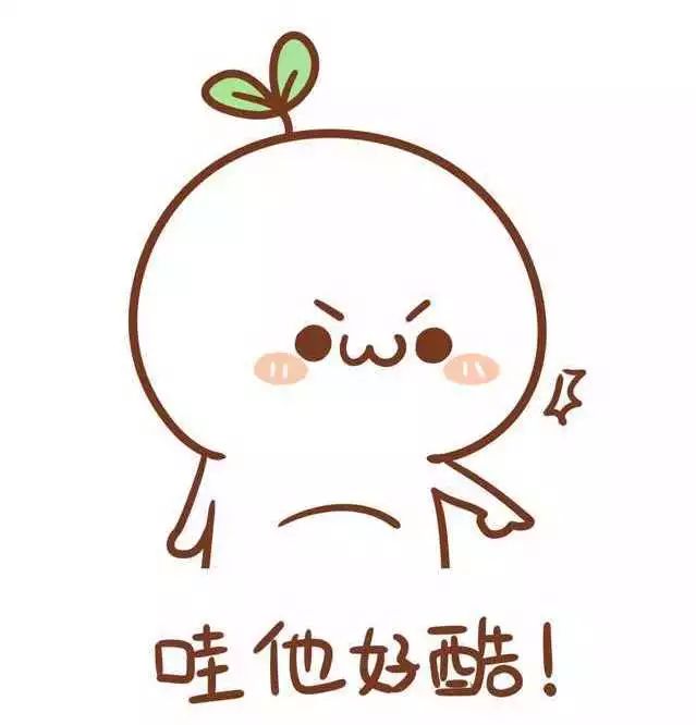 在基金会工作的真实情况,现实中的基金会是干什么的