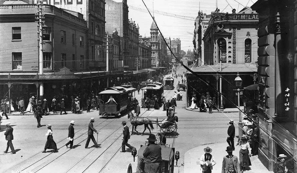 澳洲未解之谜，它又出现了！幽灵猫现，必有血案！