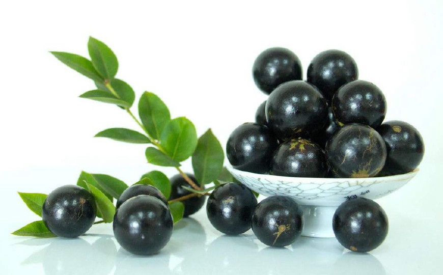 热带水果珍宝果,珍宝果属于什么水果