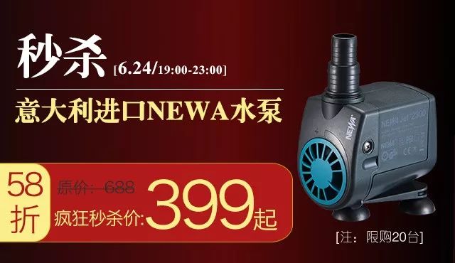 newa系列水泵,欧卡新款水泵